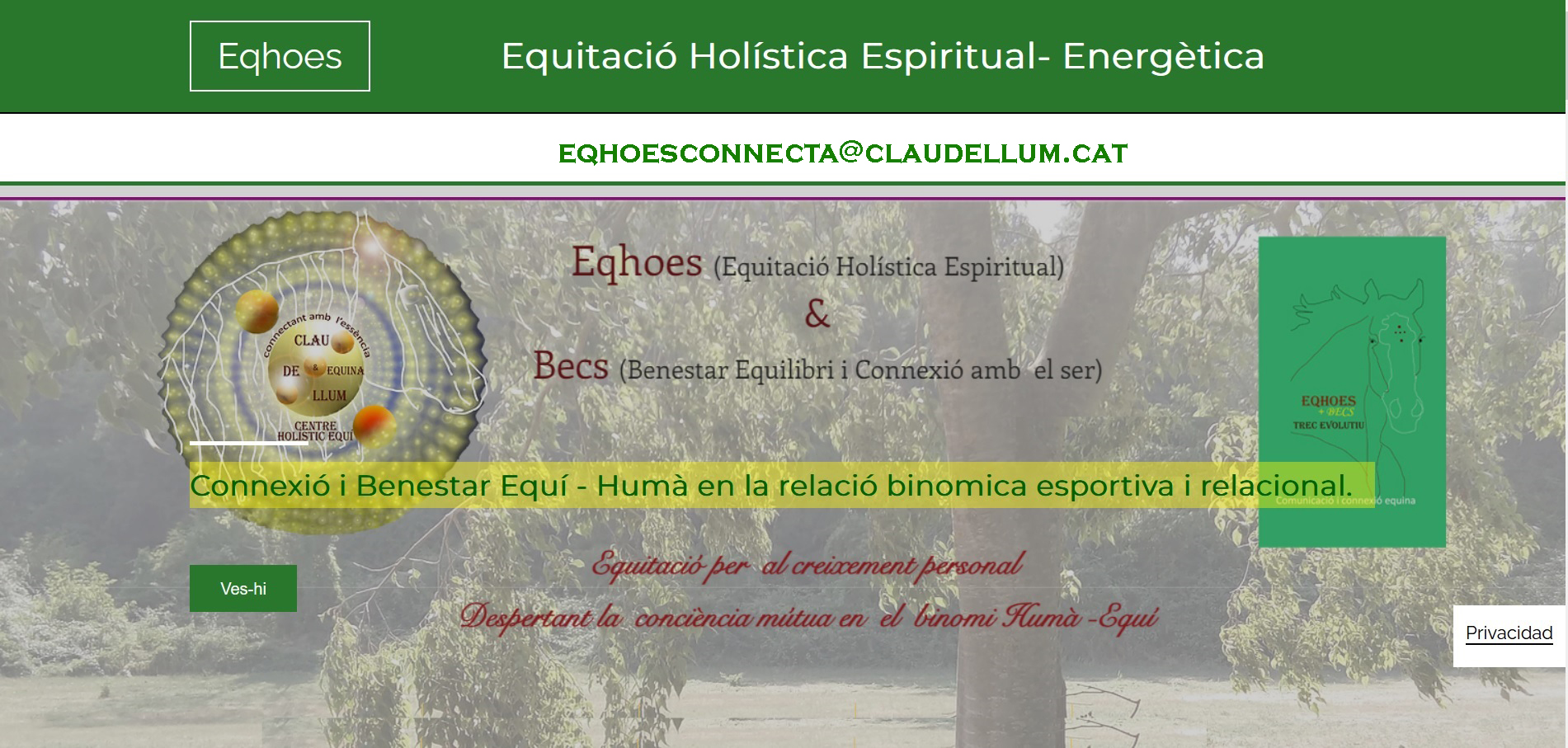Equitació Holística Energètica-Espiritual