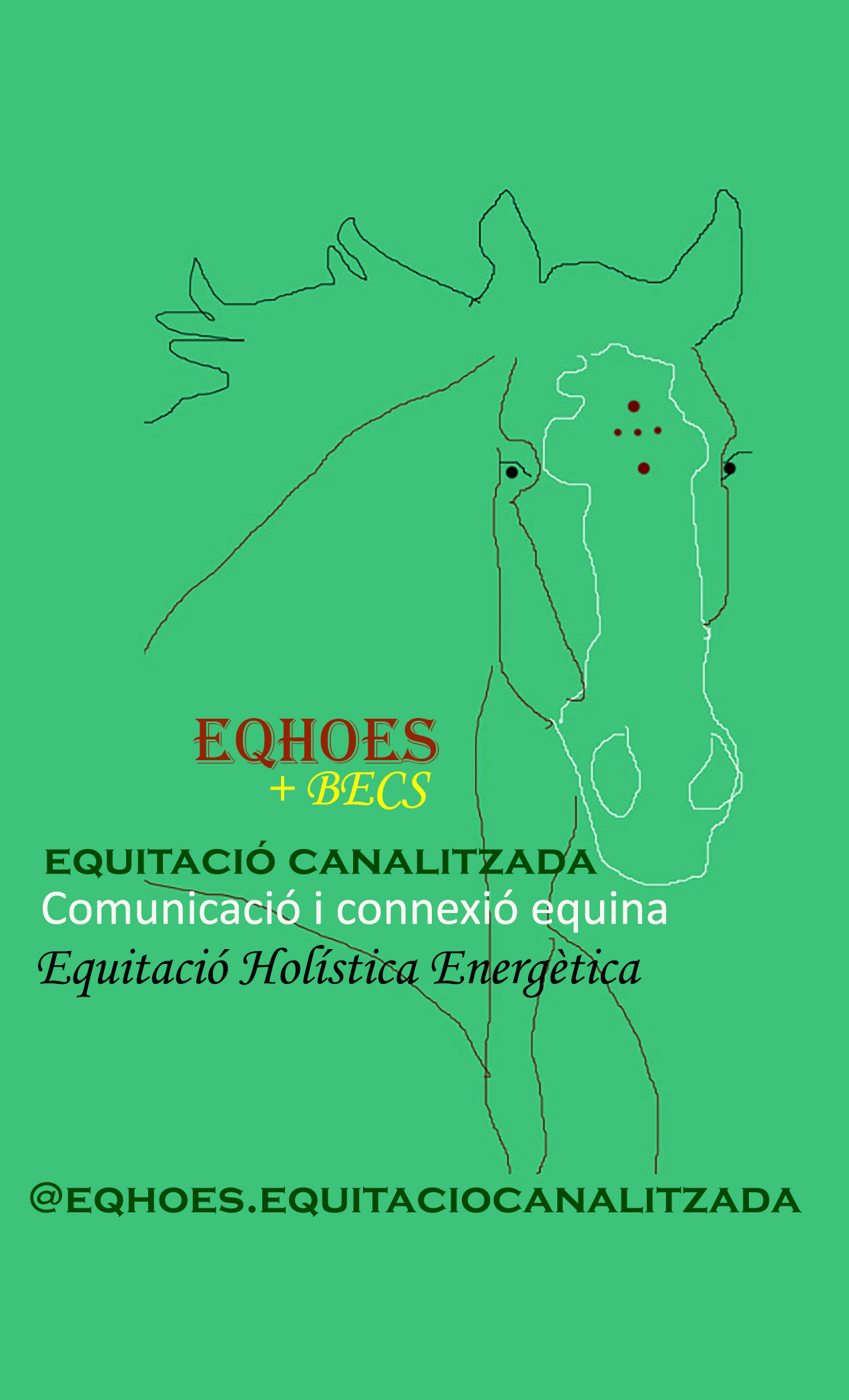 EQHOES~3
